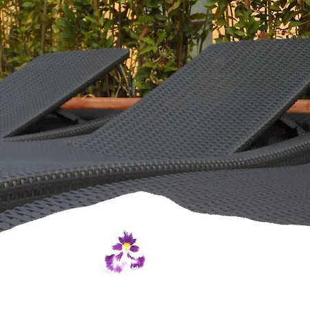 팔라쪼 잔누지 릴레스